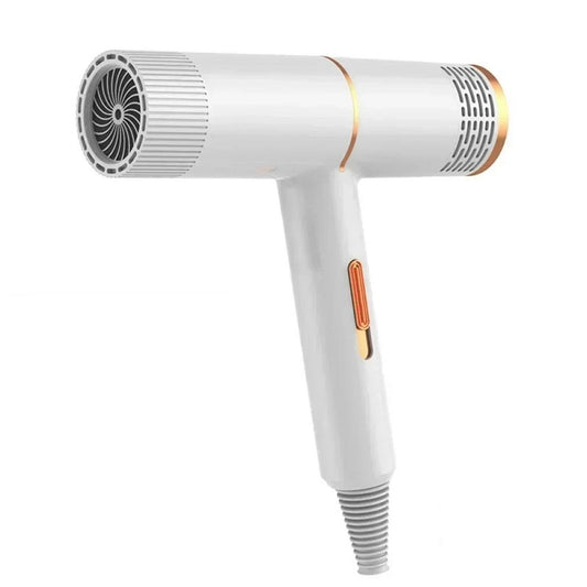 Professional Hair Dryer High Power