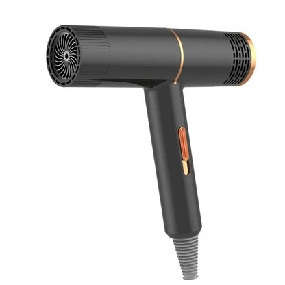 Professional Hair Dryer High Power