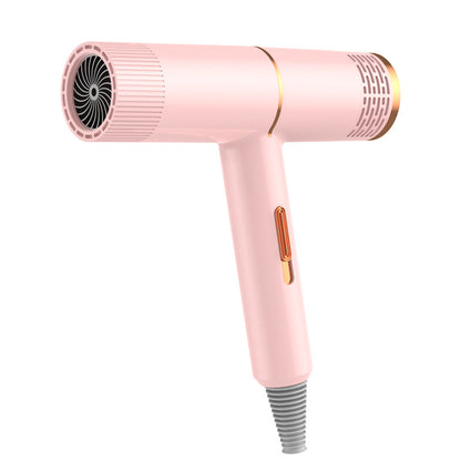 Professional Hair Dryer High Power