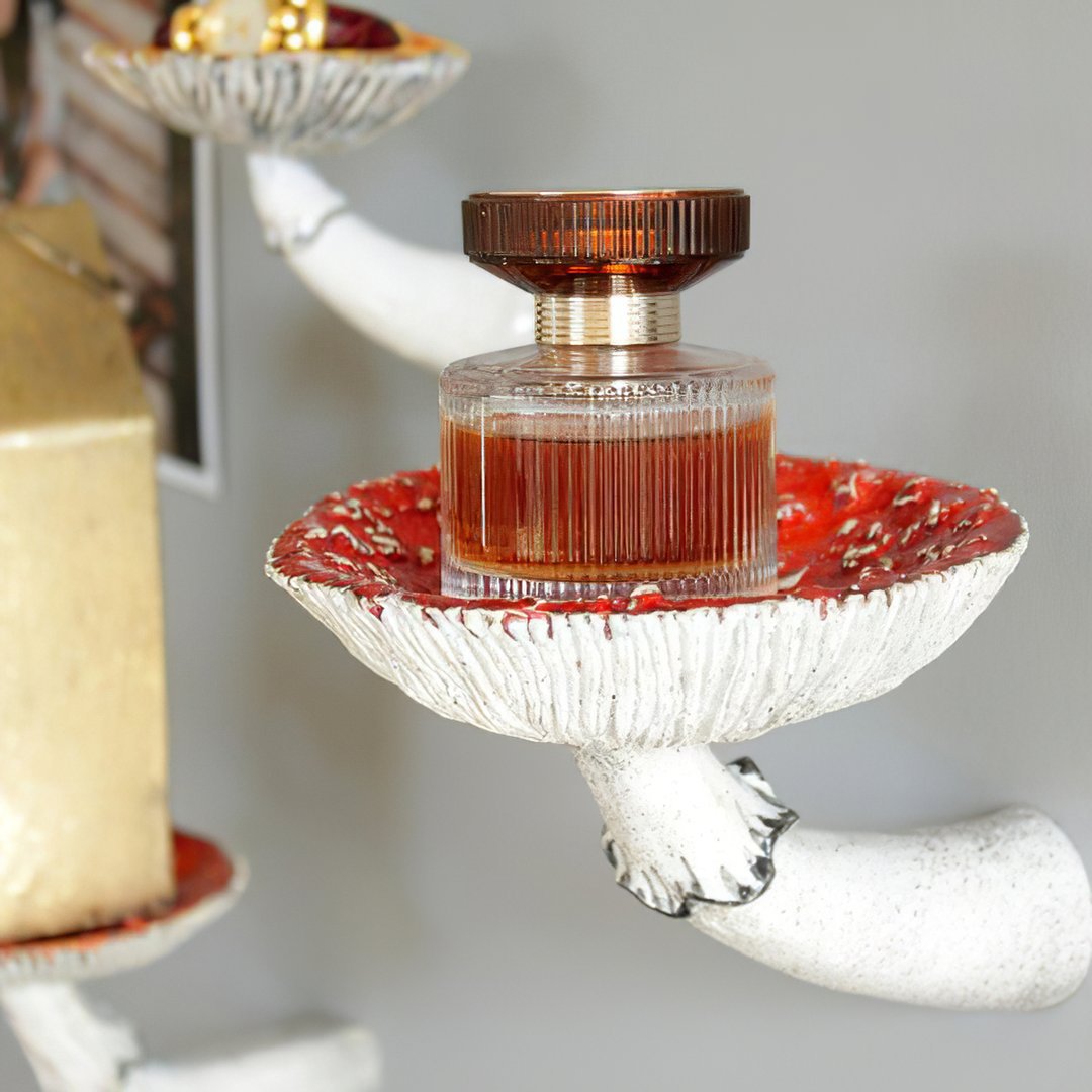 Mushroom Hanging Shelf Wall Rack Creative Storage Shelf Decoration